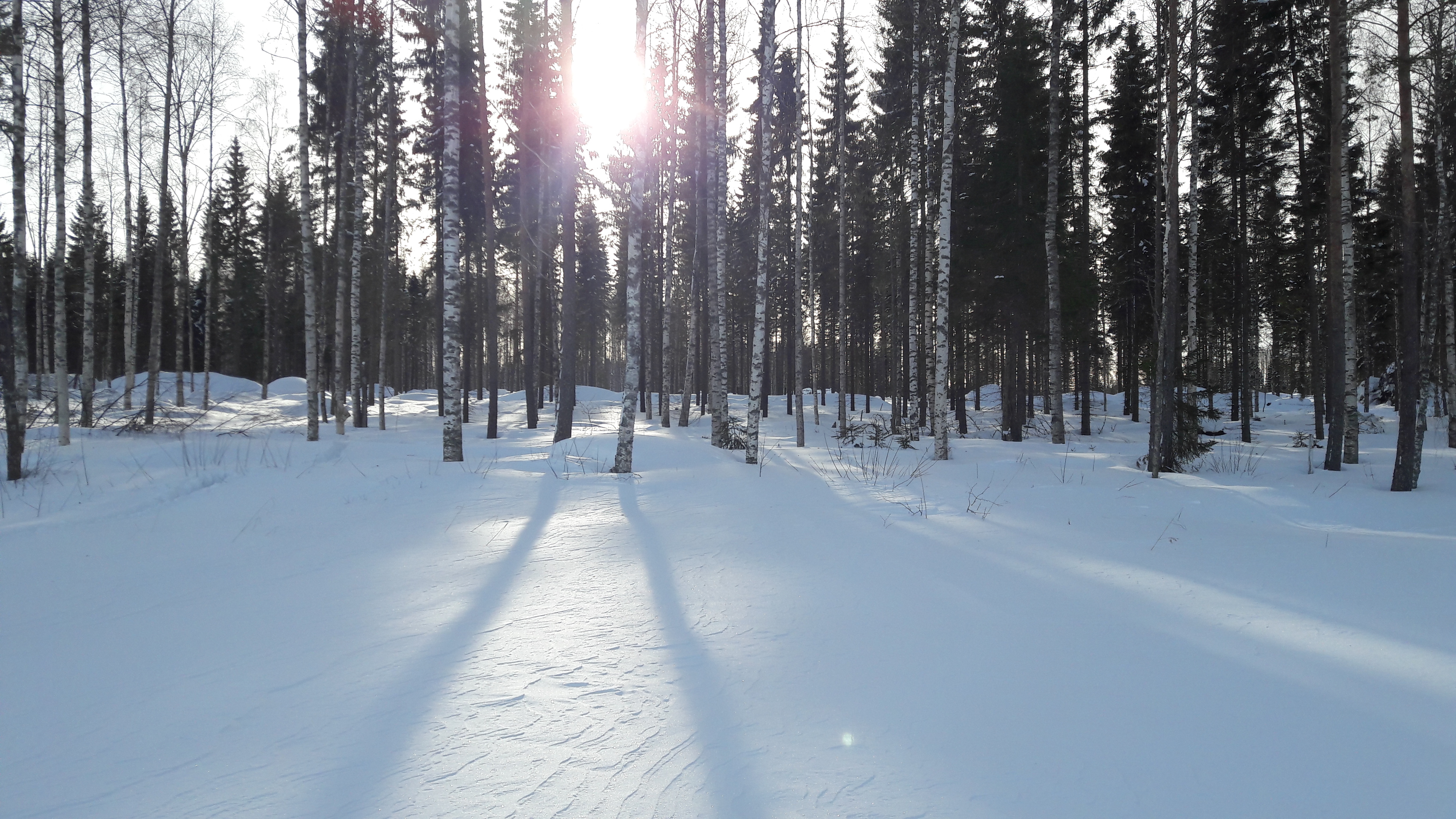 Luminen tontti Allaan tilalla, Koti Rannalla –alueella odottaa kevään tuloa ja rakentajiaan.