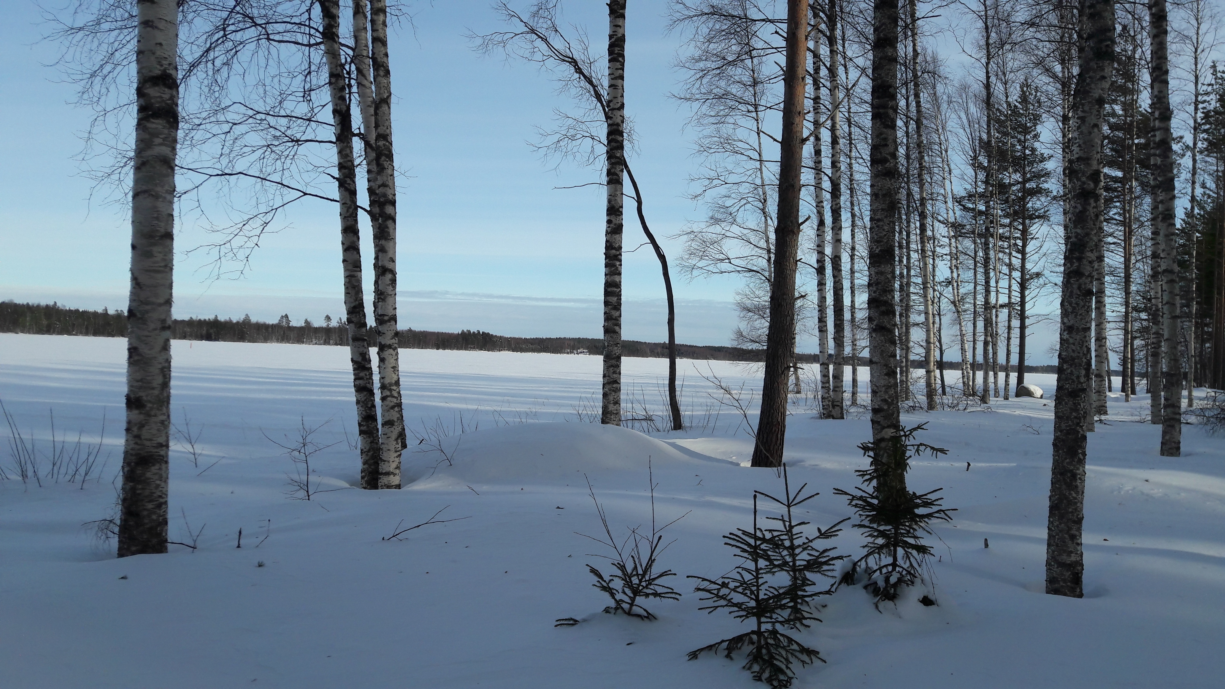 Tavoitteena olisi, että jossain näillä kohdin siemaillaan jonakin kesänä vielä saunajuomia rantasaunan terassilla istuen.